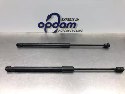 Set Gasdempers Achterklep-7884069