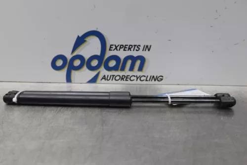 Set Gasdempers Achterklep-