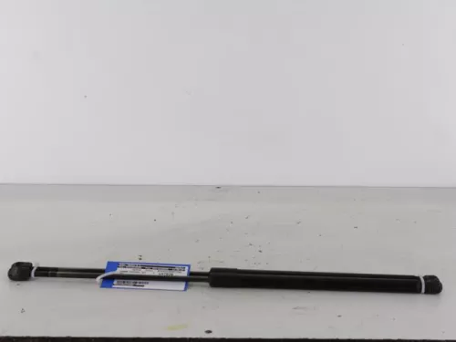 Set Gasdempers Achterklep-7888657