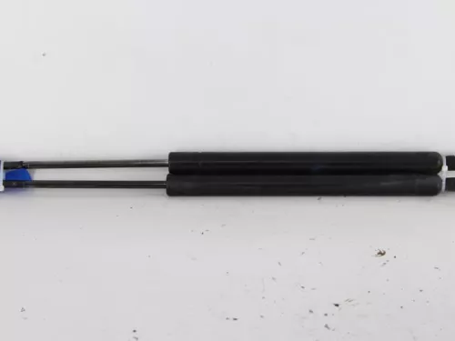 Set Gasdempers Achterklep-7736466