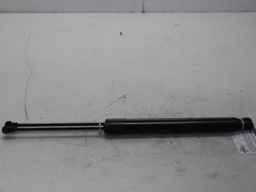 Set Gasdempers Achterklep-7611833