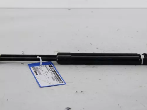 Set Gasdempers Achterklep-7717996