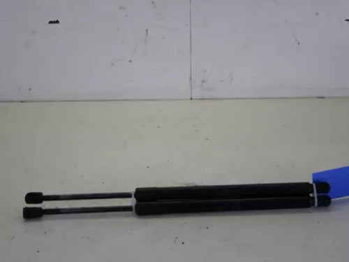 Set Gasdempers Achterklep-7885101