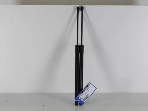 Set Gasdempers Achterklep-7889073