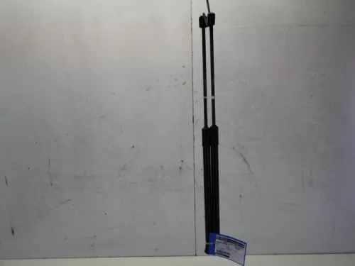 Set Gasdempers Achterklep-7881383