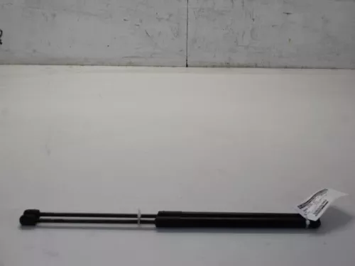 Set Gasdempers Achterklep-7879786