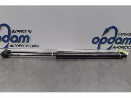 Set Gasdempers Achterklep-7877674