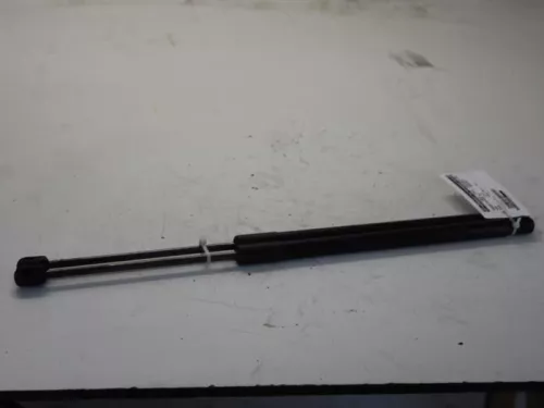 Set Gasdempers Achterklep-7879644