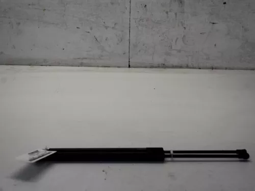 Set Gasdempers Achterklep-7880243