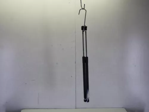 Set Gasdempers Achterklep-7882931