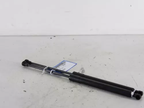 Set Gasdempers Achterklep-7888840