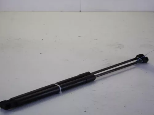 Set Gasdempers Achterklep-7614701