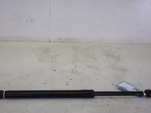 Set Gasdempers Achterklep-7884548