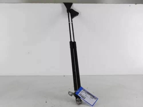 Set Gasdempers Achterklep-7888712