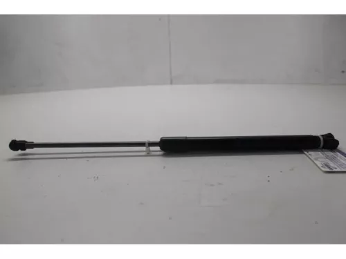 Set Gasdempers Achterklep-7878014