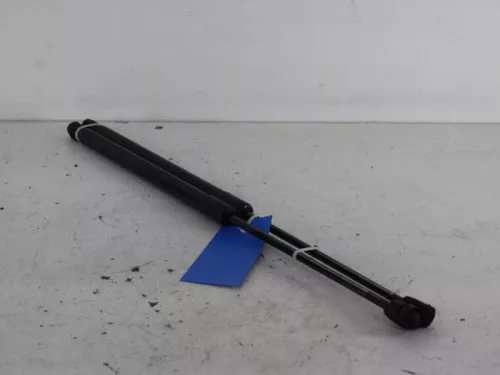 Set Gasdempers Achterklep-7887331