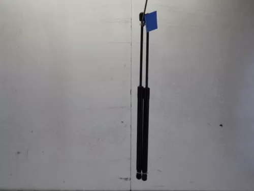 Set Gasdempers Achterklep-7613576