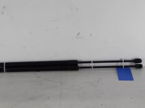 Set Gasdempers Achterklep-7620380