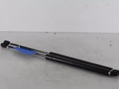 Set Gasdempers Achterklep-7887892