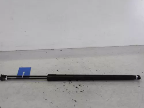 Set Gasdempers Achterklep-7616964