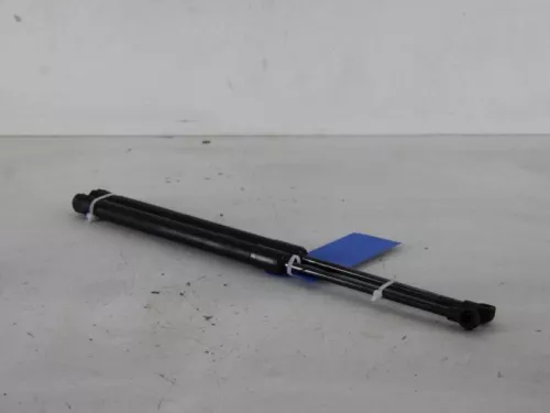 Set Gasdempers Achterklep-7888093