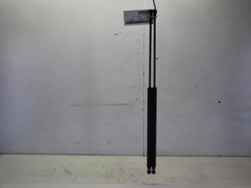 Set Gasdempers Achterklep-7880818