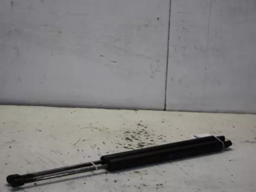 Set Gasdempers Achterklep-7743656