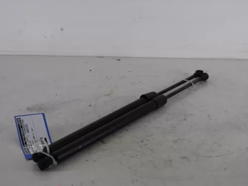 Set Gasdempers Achterklep-7887502