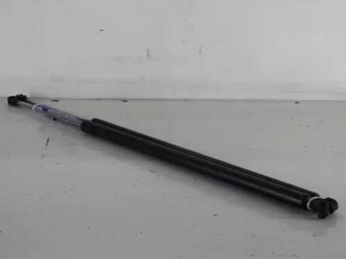 Set Gasdempers Achterklep-7887752