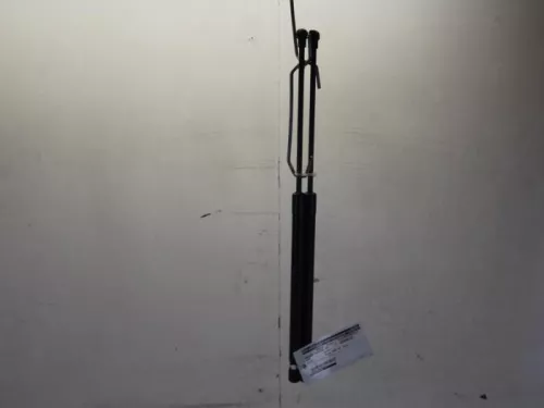 Set Gasdempers Achterklep-7617451