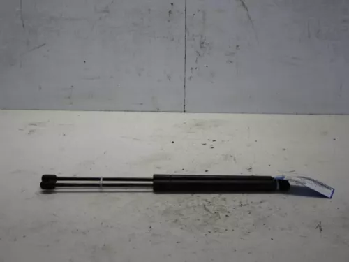 Set Gasdempers Achterklep-7882045