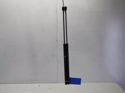 Set Gasdempers Achterklep-7881671