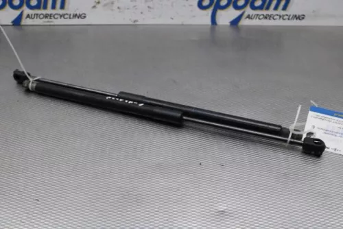 Set Gasdempers Achterklep-7877008