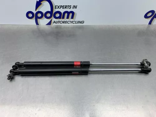 Set Gasdempers Achterklep-8159078