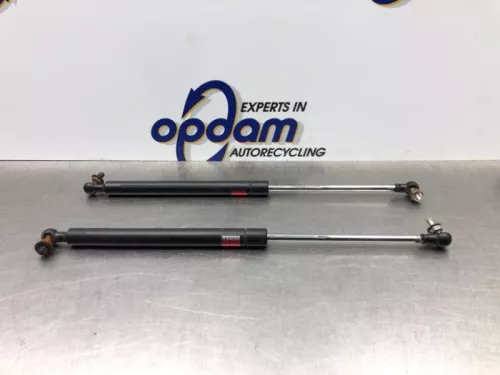 Set Gasdempers Achterklep-8177417