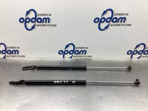 Set Gasdempers Achterklep-8058513