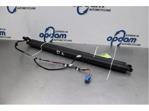 Set Gasdempers Achterklep-7877978