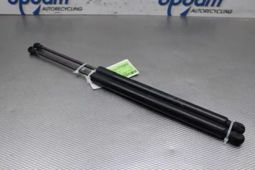 Set Gasdempers Achterklep-6918849