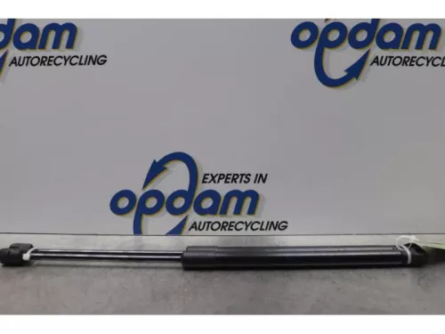 Set Gasdempers Achterklep-7612468