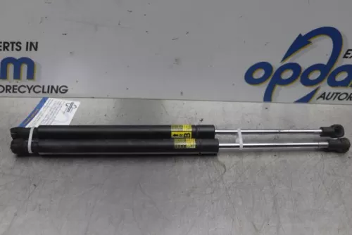 Set Gasdempers Achterklep-6109423