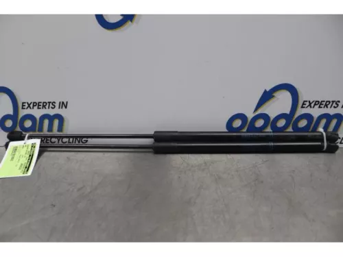 Set Gasdempers Achterklep-7877750