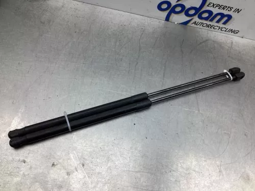 Set Gasdempers Achterklep-7616367