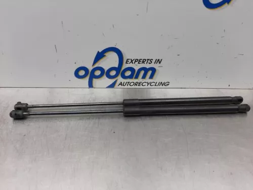 Set Gasdempers Achterklep-7611832