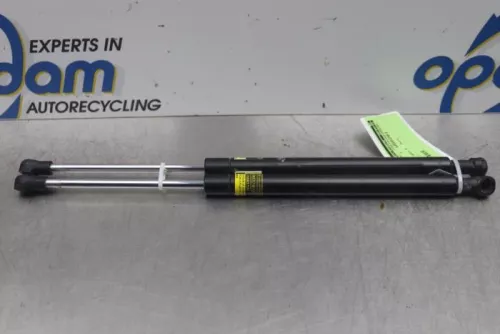 Set Gasdempers Achterklep-7878164