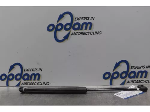 Set Gasdempers Achterklep-7716795