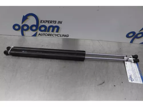 Set Gasdempers Achterklep-7878325