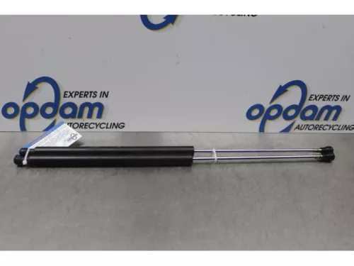 Set Gasdempers Achterklep-7878325