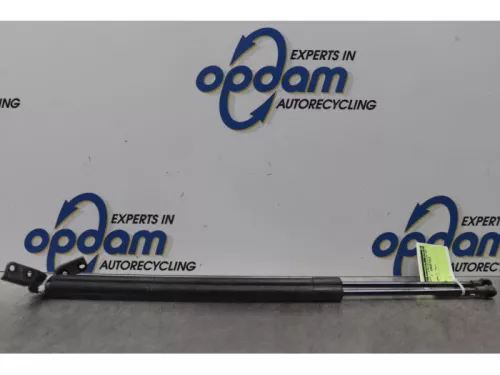 Set Gasdempers Achterklep-7730064