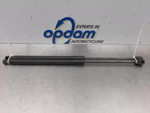 Set Gasdempers Achterklep-7544441