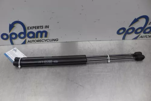 Set Gasdempers Achterklep-7877176